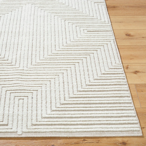 Surya Lyna LYA-2336 Beige Modern  Rug