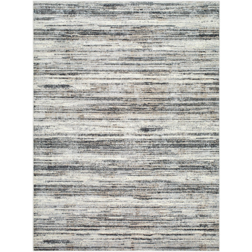 Surya Marbella MBR-2301 Cream Rustic  Rug