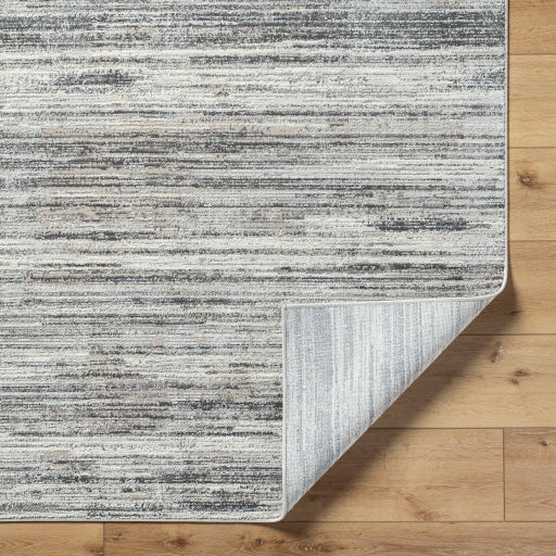 Surya Marbella MBR-2301 Cream Rustic  Rug