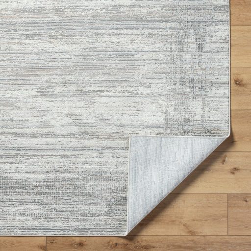 Surya Marbella MBR-2304 Cream Rustic  Rug