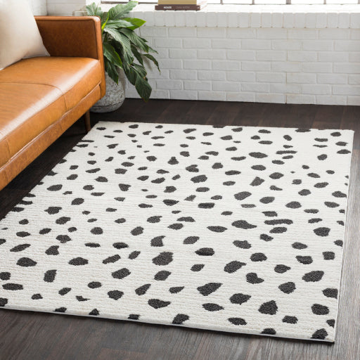 Surya Moroccan Shag MCS-2307 Black Global  Rug