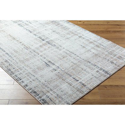 Surya Mood MDD-2336 Taupe Rustic  Rug