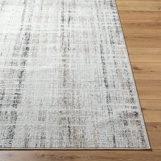 Surya Mood MDD-2336 Taupe Rustic  Rug