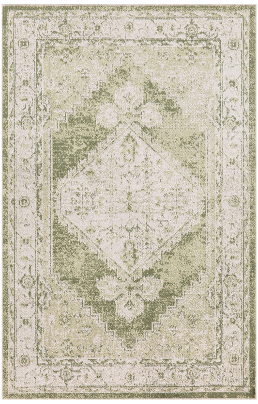 Nourison Home Astra Machine Washable ASW11 Ivory Green Traditional Machinemade Rug