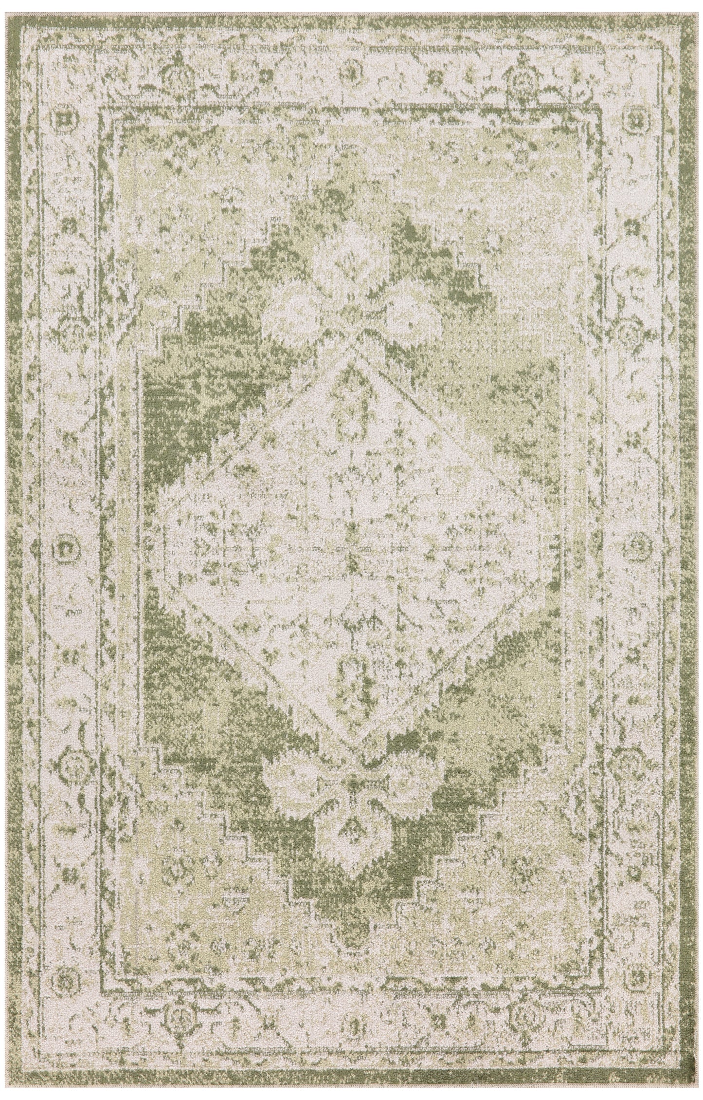 Nourison Home Astra Machine Washable ASW11 Ivory Green Traditional Power-loomed Rug