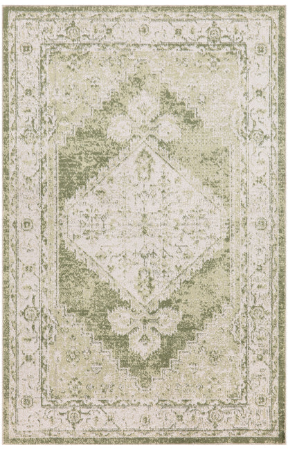 Nourison Home Astra Machine Washable ASW11 Ivory Green Traditional Power-loomed Rug
