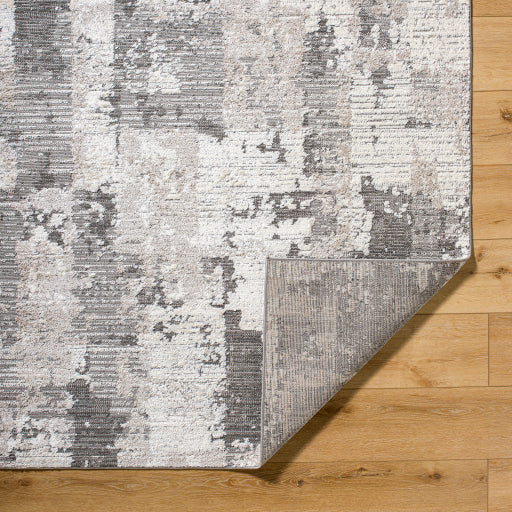 Surya Maguire MGU-2302 Charcoal Modern  Rug