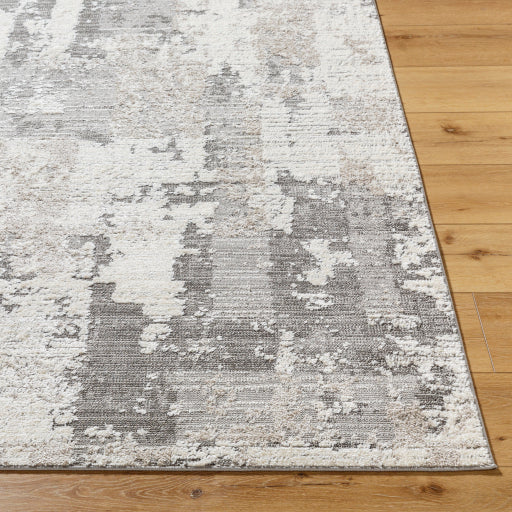 Surya Maguire MGU-2302 Charcoal Modern  Rug
