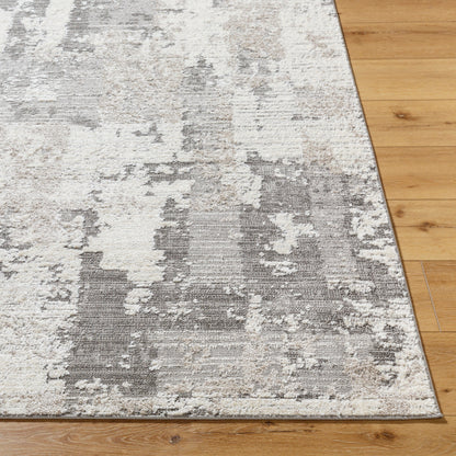 Surya Maguire MGU-2302 Charcoal Modern  Rug