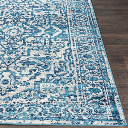 Surya Monte Carlo MNC-2302 Blue Traditional  Rug