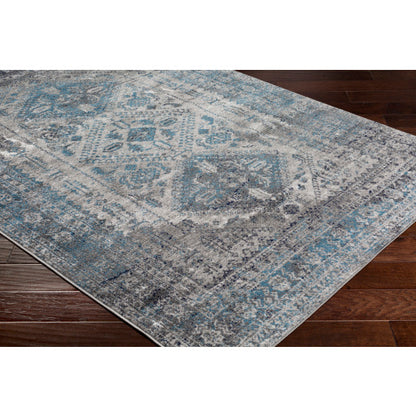 Surya Monte Carlo MNC-2312 Light Gray Traditional  Rug