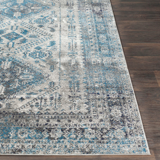 Surya Monte Carlo MNC-2312 Light Gray Traditional  Rug