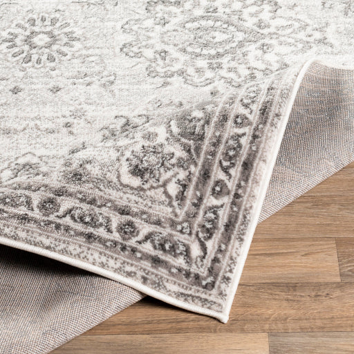 Surya Monte Carlo MNC-2331 Light Gray Traditional  Rug
