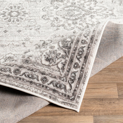 Surya Monte Carlo MNC-2331 Light Gray Traditional  Rug