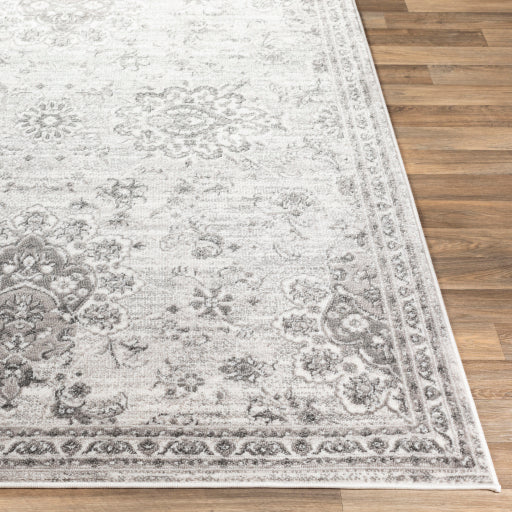 Surya Monte Carlo MNC-2331 Light Gray Traditional  Rug