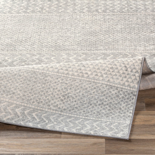 Surya Monaco MOC-2304 Silver Gray Global  Rug