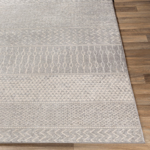 Surya Monaco MOC-2304 Silver Gray Global  Rug