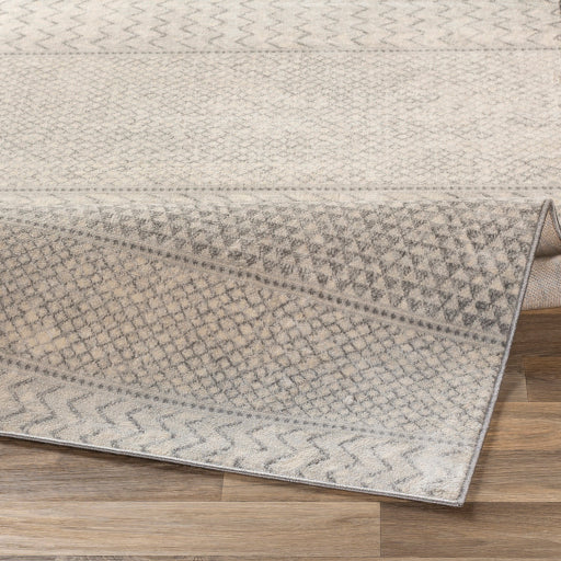 Surya Monaco MOC-2306 Silver Gray Global  Rug