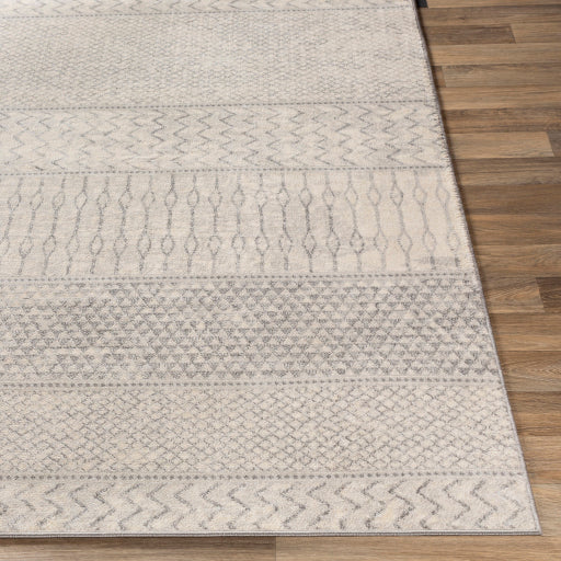 Surya Monaco MOC-2306 Silver Gray Global  Rug