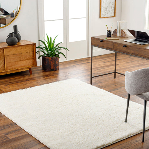 Surya Moda Shag MOG-2302 White Modern  Rug