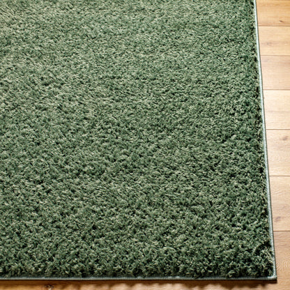 Surya Moda Shag MOG-2306 Medium Green Modern  Rug
