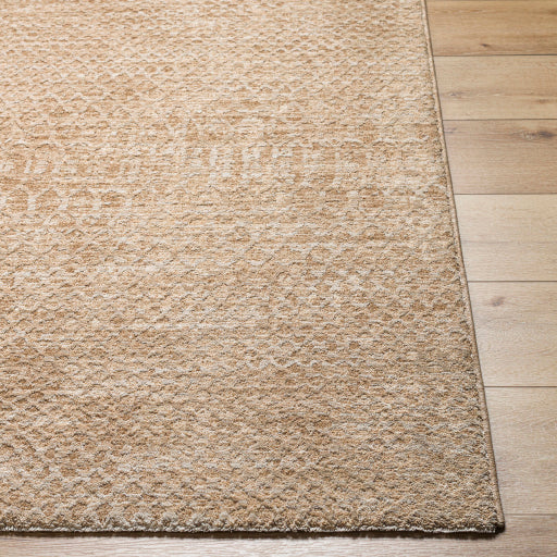 Surya Masterpiece MPC-2302 Beige Global  Rug
