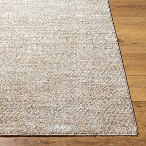 Surya Masterpiece MPC-2303 Medium Gray Global  Rug