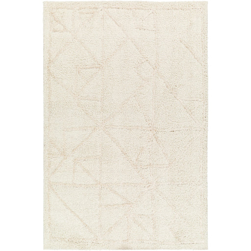 Surya Maryland Shag MSG-2300 Ivory Global  Rug