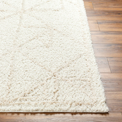 Surya Maryland Shag MSG-2300 Ivory Global  Rug