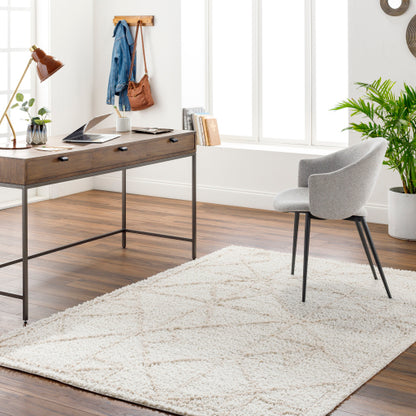 Surya Maryland Shag MSG-2300 Ivory Global  Rug