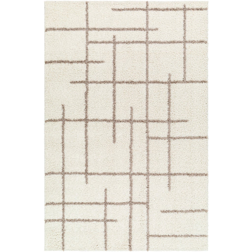 Surya Maryland Shag MSG-2304 Medium Gray Modern  Rug