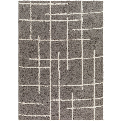 Surya Maryland Shag MSG-2305 Medium Gray Modern  Rug