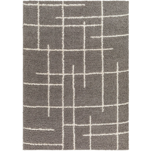 Surya Maryland Shag MSG-2305 Medium Gray Modern  Rug