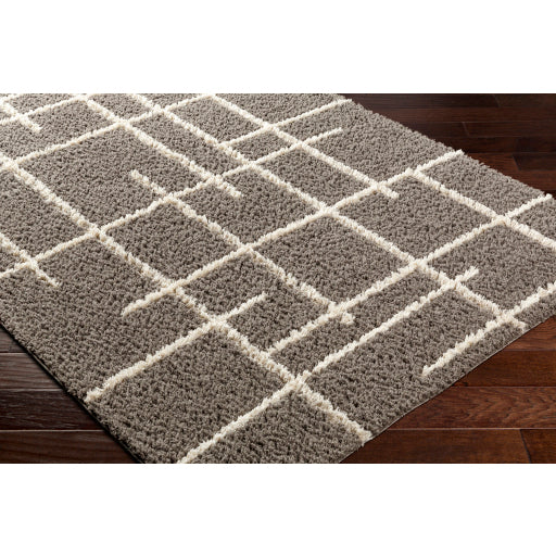 Surya Maryland Shag MSG-2305 Medium Gray Modern  Rug