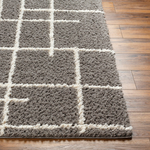 Surya Maryland Shag MSG-2305 Medium Gray Modern  Rug