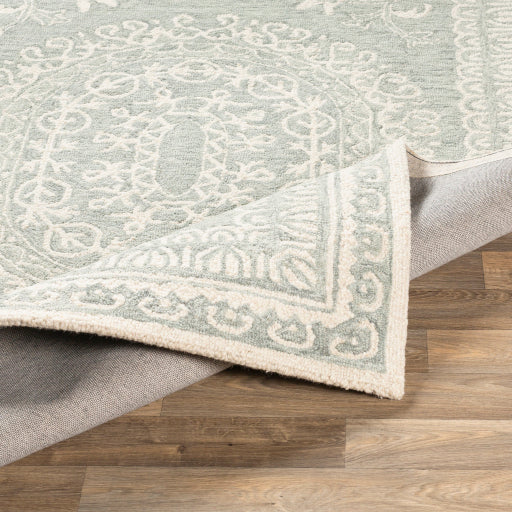 Surya Newcastle NCS-2306 Sage Traditional  Rug