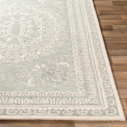 Surya Newcastle NCS-2306 Sage Traditional  Rug