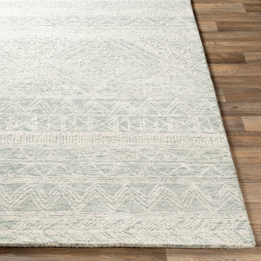 Surya Newcastle NCS-2312 Seafoam Global  Rug