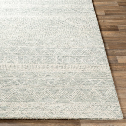 Surya Newcastle NCS-2312 Seafoam Global  Rug
