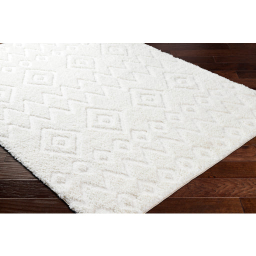 Surya Nomadic NMC-2306 Ivory Modern  Rug