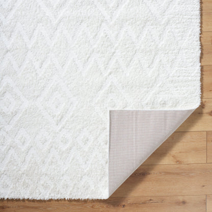 Surya Nomadic NMC-2306 Ivory Modern  Rug