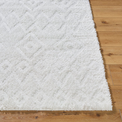 Surya Nomadic NMC-2306 Ivory Modern  Rug