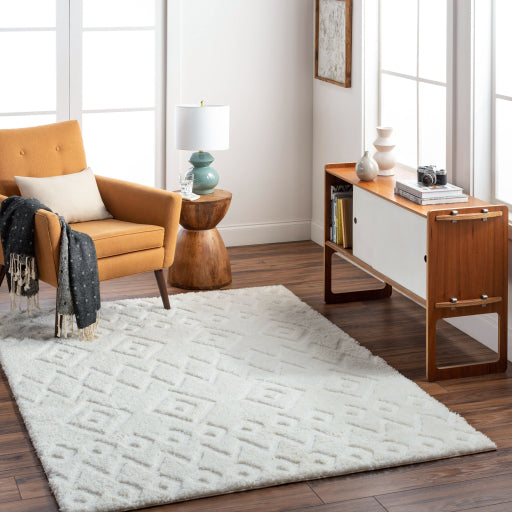 Surya Nomadic NMC-2306 Ivory Modern  Rug