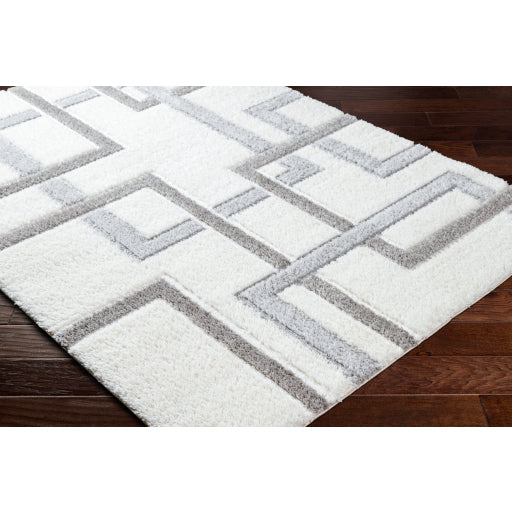 Surya Nomadic NMC-2313 Ivory Modern  Rug