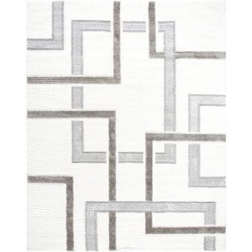 Surya Nomadic NMC-2313 Ivory Modern  Rug
