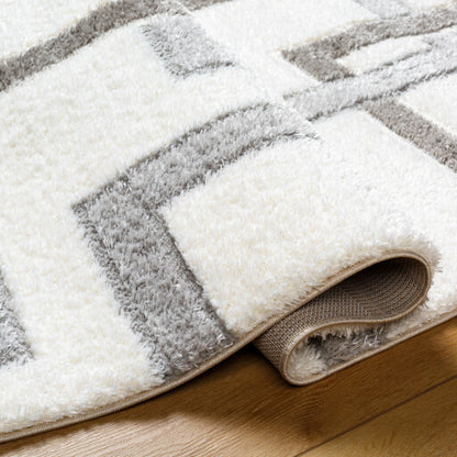 Surya Nomadic NMC-2313 Ivory Modern  Rug