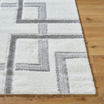 Surya Nomadic NMC-2313 Ivory Modern  Rug