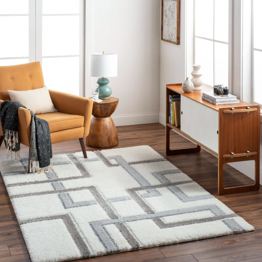 Surya Nomadic NMC-2313 Ivory Modern  Rug