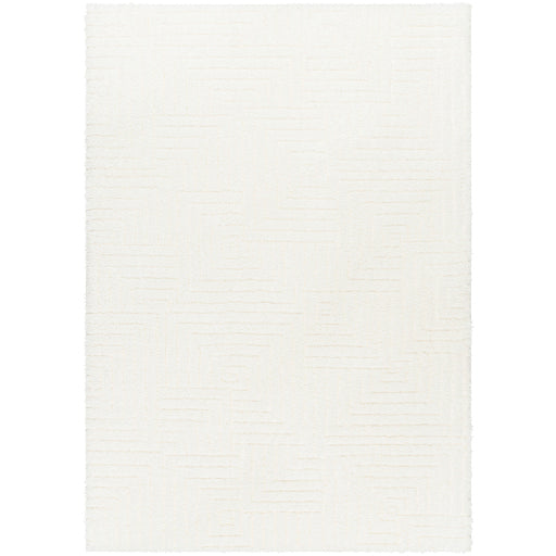 Surya Nomadic NMC-2314 Ivory Modern  Rug