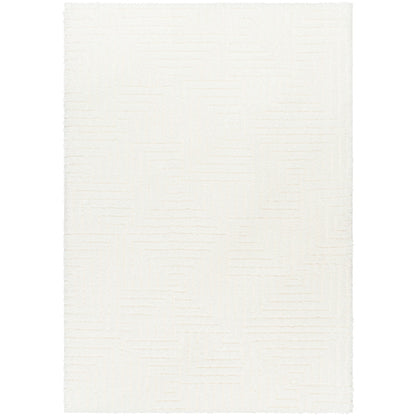 Surya Nomadic NMC-2314 Ivory Modern  Rug